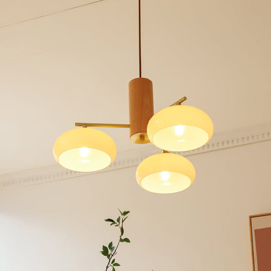 Nova Persimmon Metal and Glass Chandelier with Brass Arms