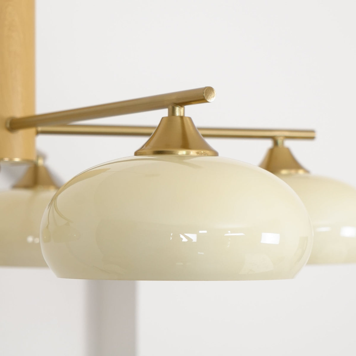 
Nova Persimmon Metal and Glass Chandelier with Brass Arms