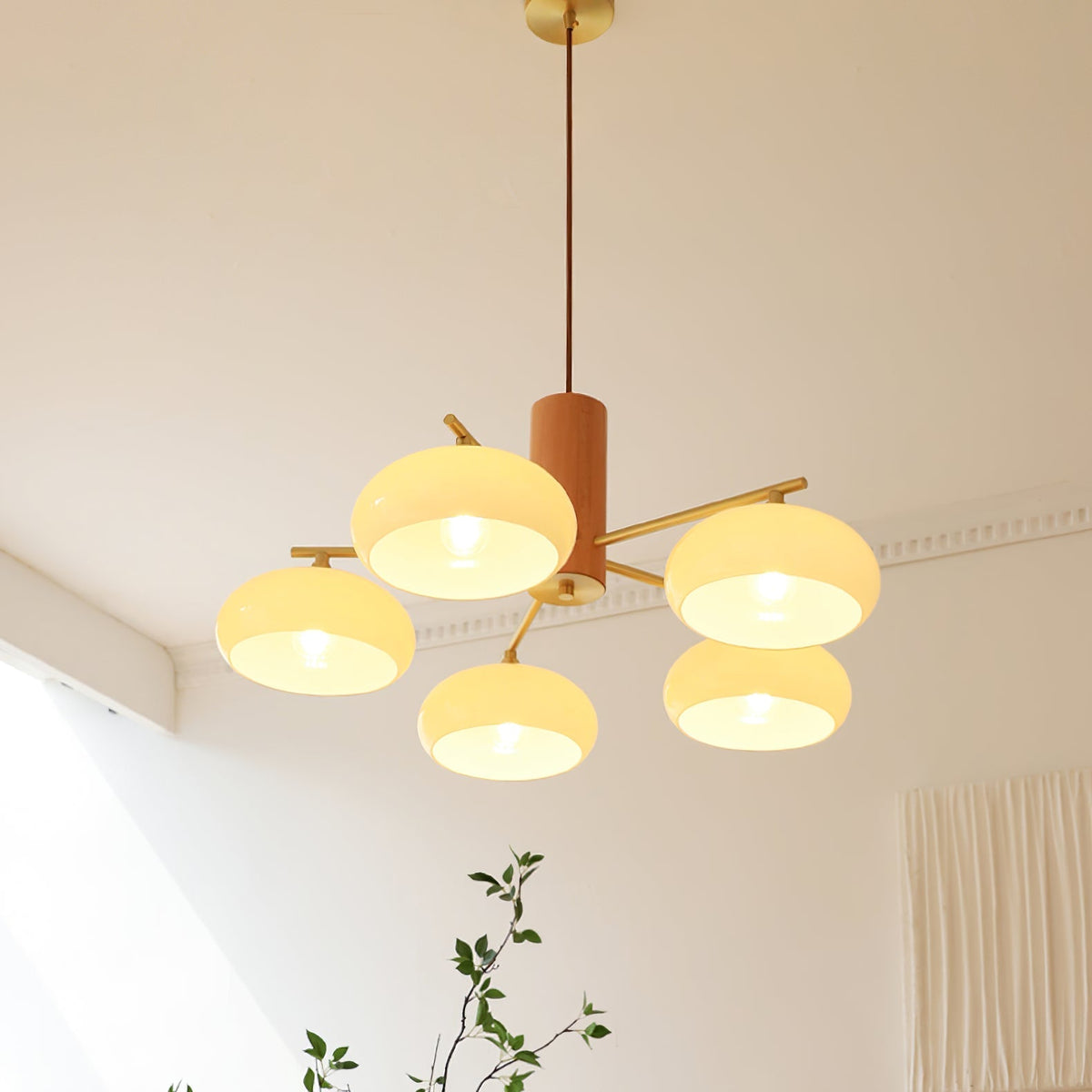 
Nova Persimmon Metal and Glass Chandelier with Brass Arms