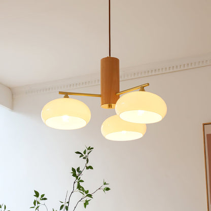 Nova Persimmon Metal and Glass Chandelier with Brass Arms