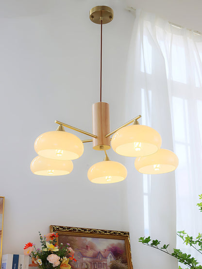 Nova Persimmon Metal and Glass Chandelier with Brass Arms