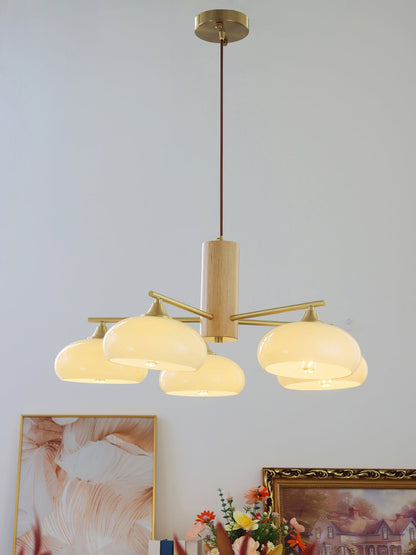 Nova Persimmon Metal and Glass Chandelier with Brass Arms