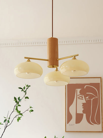 Nova Persimmon Metal and Glass Chandelier with Brass Arms