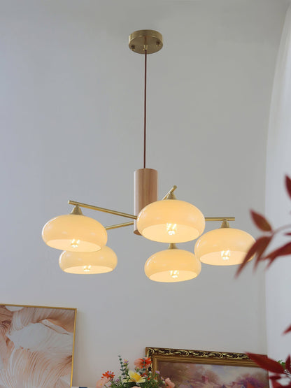 Nova Persimmon Metal and Glass Chandelier with Brass Arms