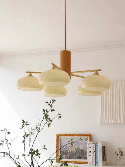 Nova Persimmon Metal and Glass Chandelier with Brass Arms