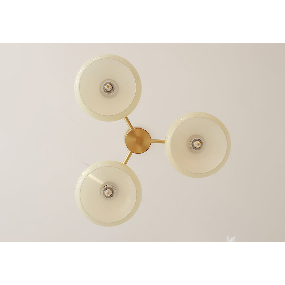 
Nova Persimmon Metal and Glass Chandelier with Brass Arms