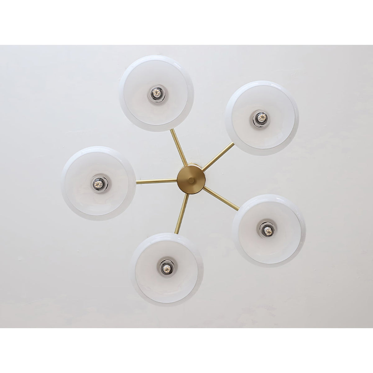 
Nova Persimmon Metal and Glass Chandelier with Brass Arms