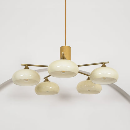 Nova Persimmon Metal and Glass Chandelier with Brass Arms