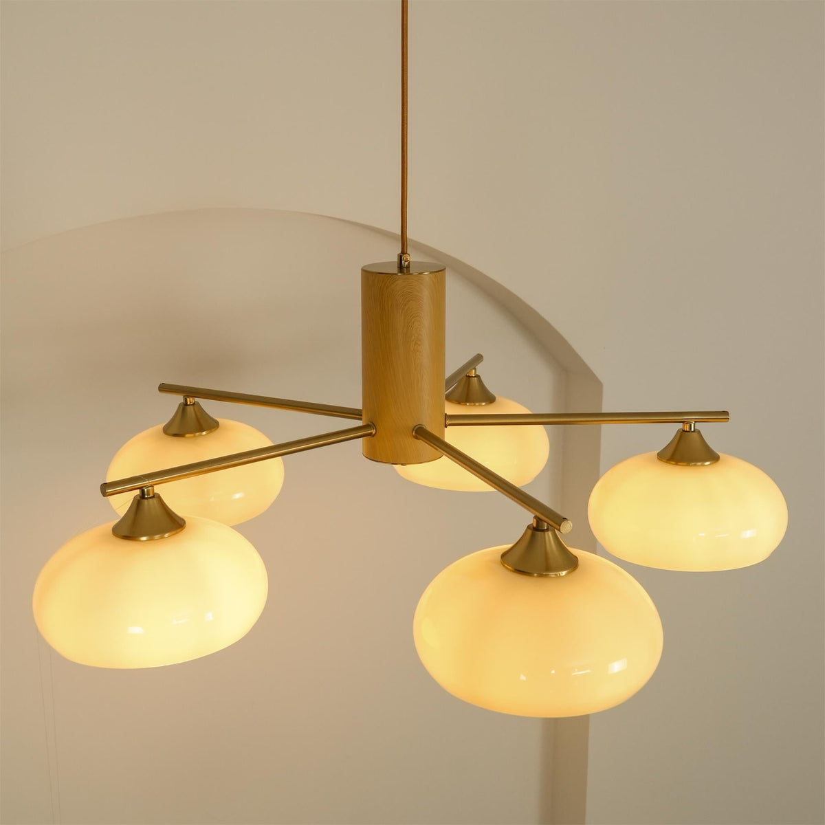 
Nova Persimmon Metal and Glass Chandelier with Brass Arms