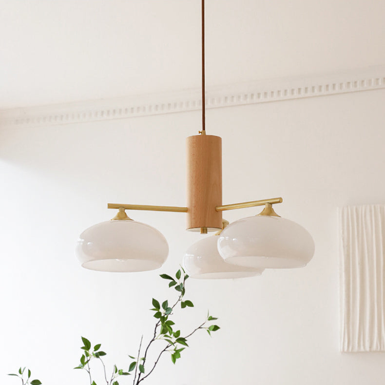 
Nova Persimmon Metal and Glass Chandelier with Brass Arms