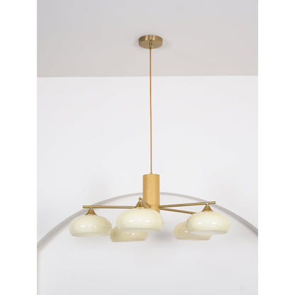 Nova Persimmon Metal and Glass Chandelier with Brass Arms