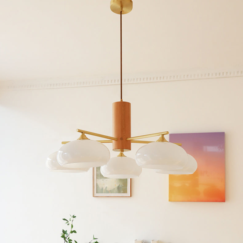 
Nova Persimmon Metal and Glass Chandelier with Brass Arms