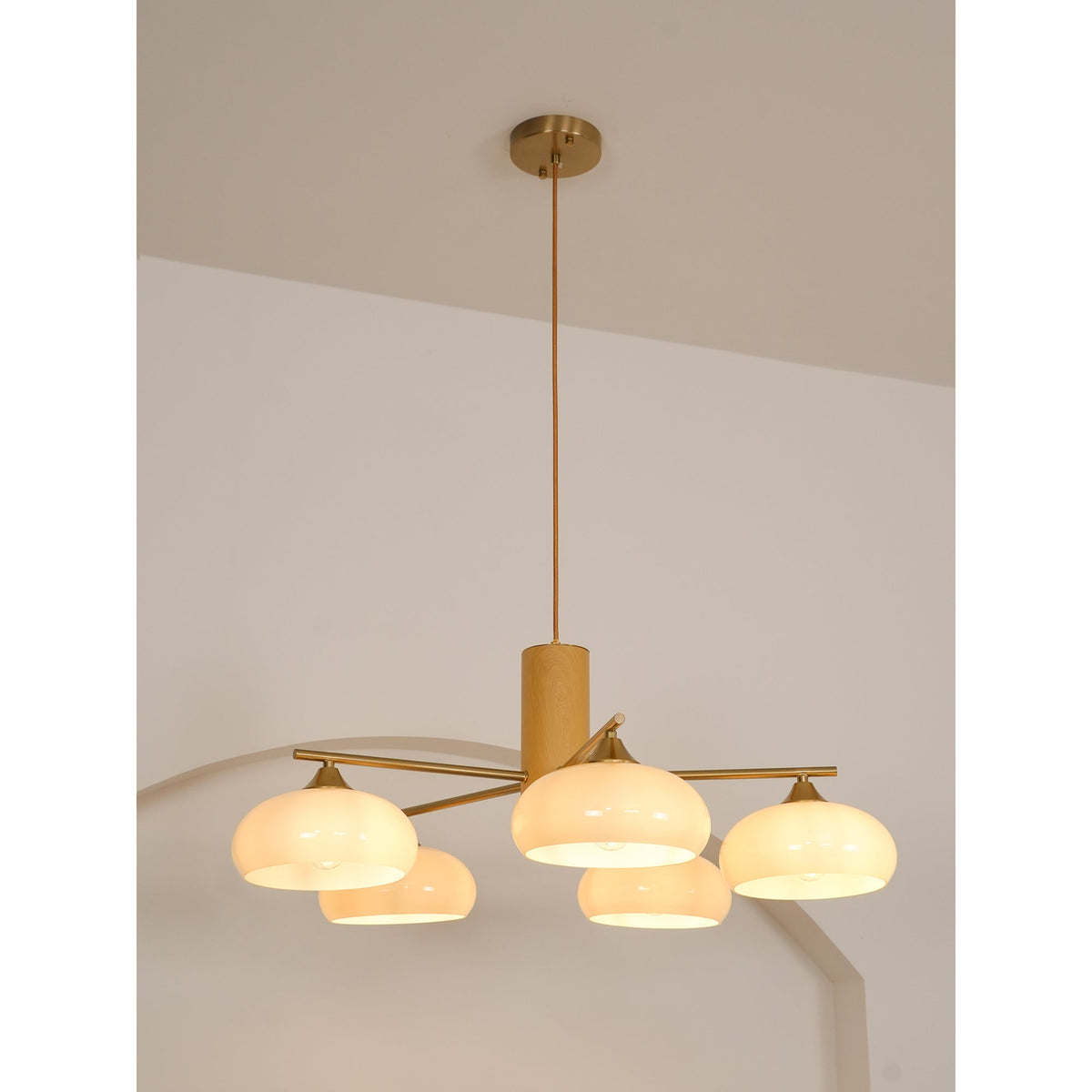 
Nova Persimmon Metal and Glass Chandelier with Brass Arms